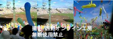 ���Z�b����[���Ɂ[�E�E�E�E�������炳���͉�����܂���B